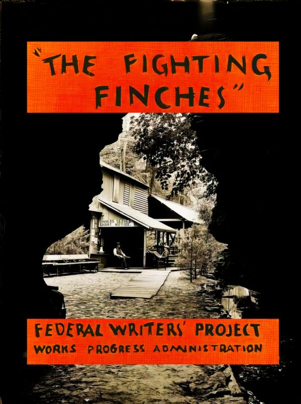 THE FIGHTING FINCHES